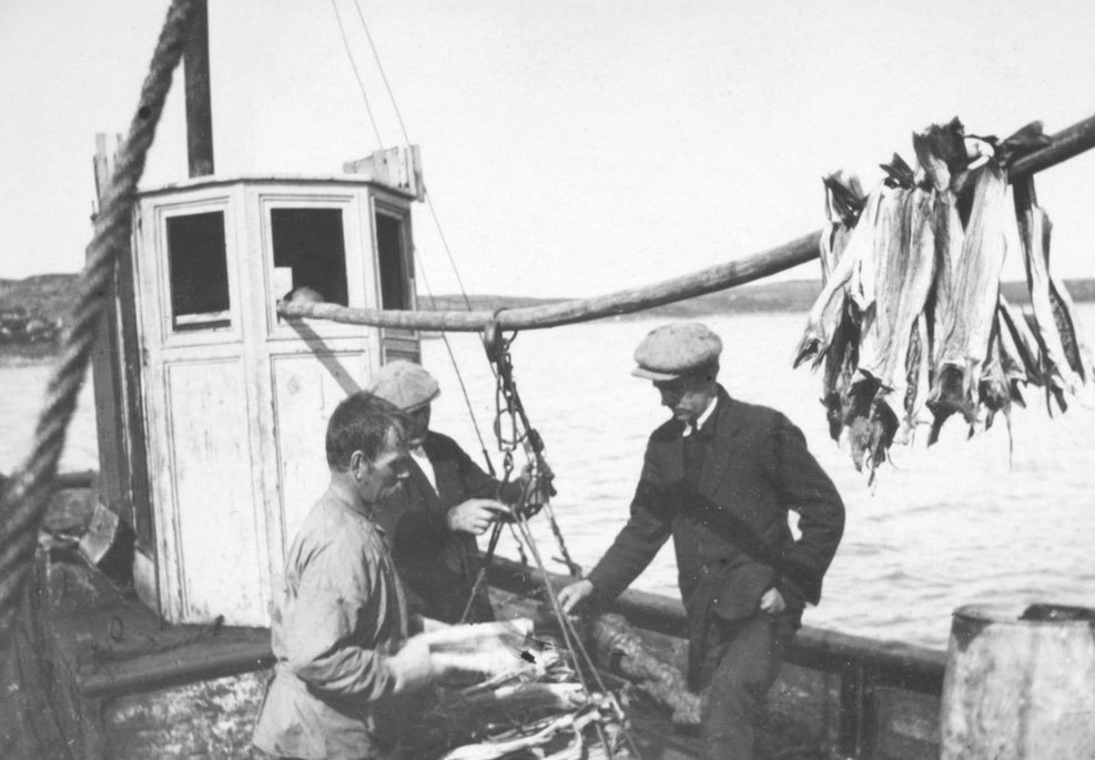 Norwegian fishermen with salted cod — bacalao